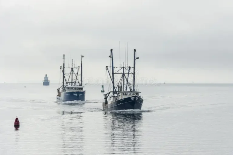 Types of Fishing Boats For Sale: Finding Your Ideal Boat